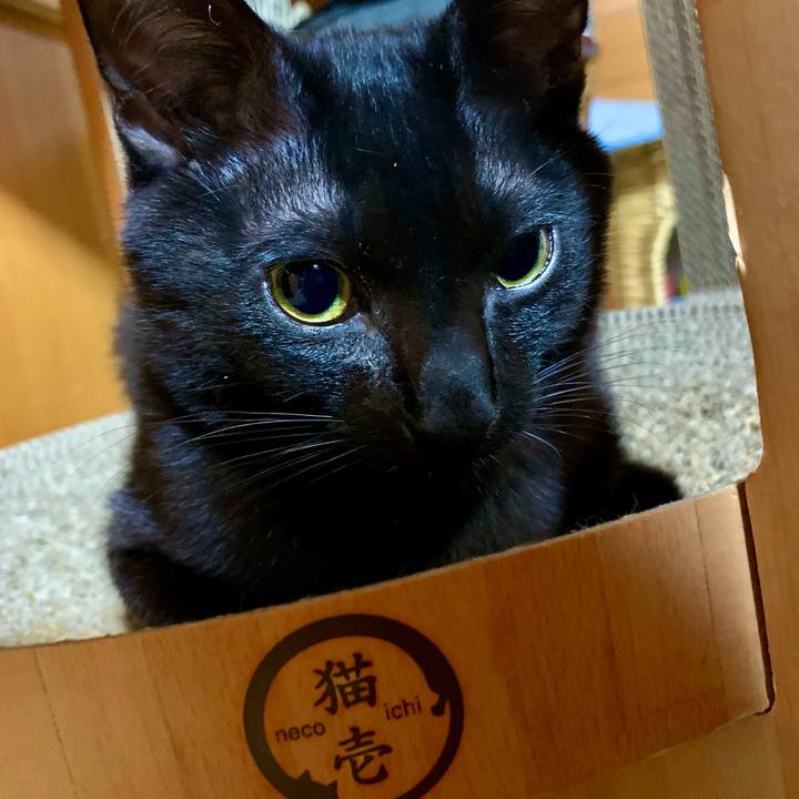 32c1a8b8 3b42 4538 a270 35a18d8c20af 1648899508871