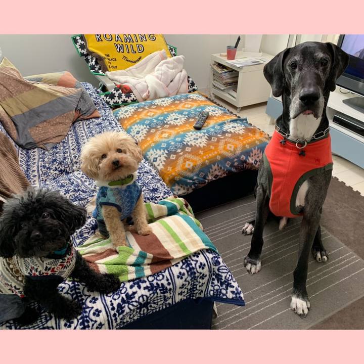 32c1b098 d7ea 4f0c a0fa 39c20b38a3db 1582238673393