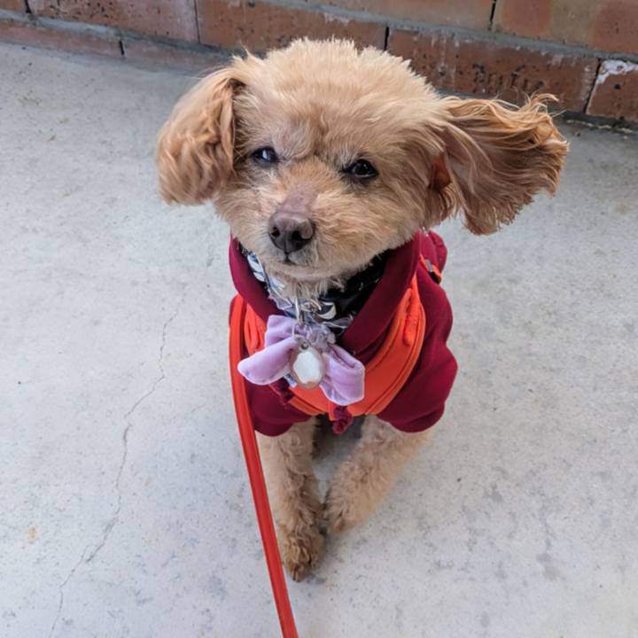 32c1e656 0a08 4897 8b05 041602b74a96 1771284041257