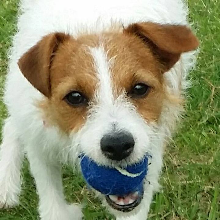 32c207b4 9243 463c 9fec 84bb91adcb4e 1512231473466