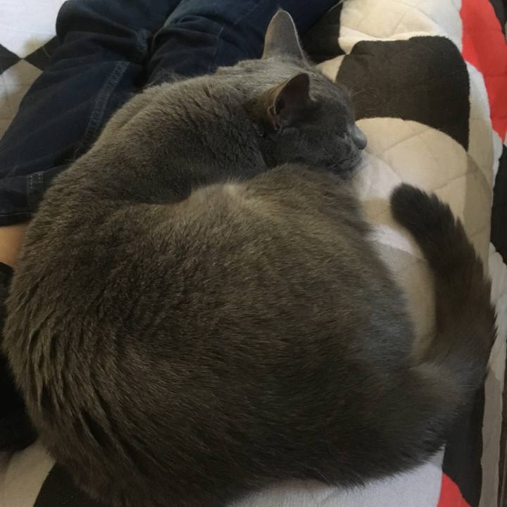 32c2282f 9c10 4b2c 97a4 965311c172d2 1679005686600