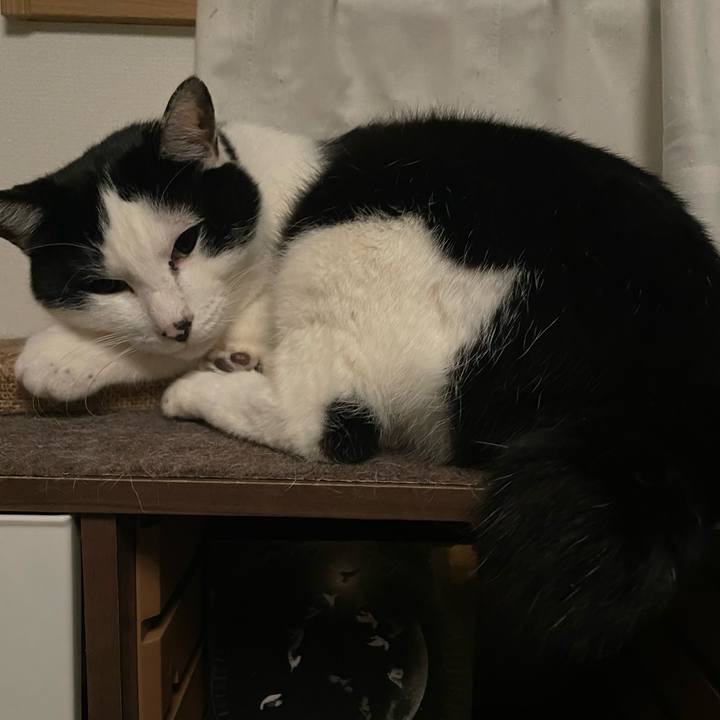 32c23c18 022f 4f0e a91e b59d8e083c92 1716659099005