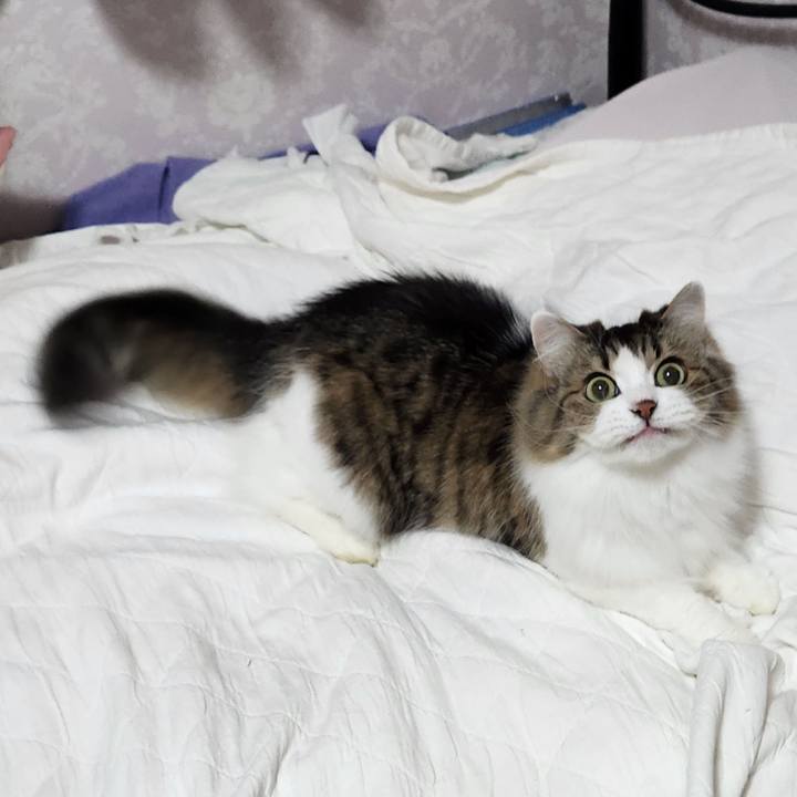 32c2a34e d9c4 49d2 9245 813232a59dcf 1732314695681