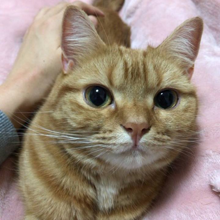 32c2f495 4556 440d a309 d619c896edc4 1541596702009