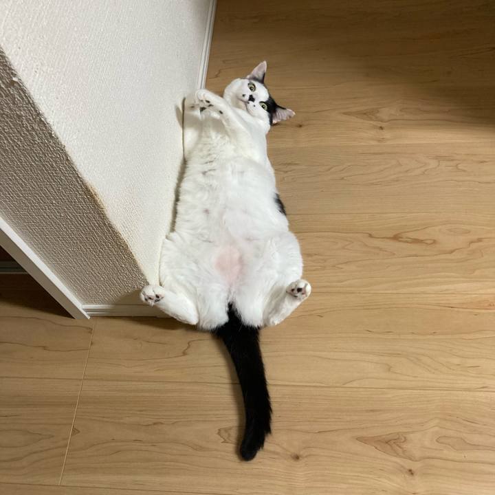 32c34851 56e8 4980 8b19 a2c2cc61aed8 1756900322542