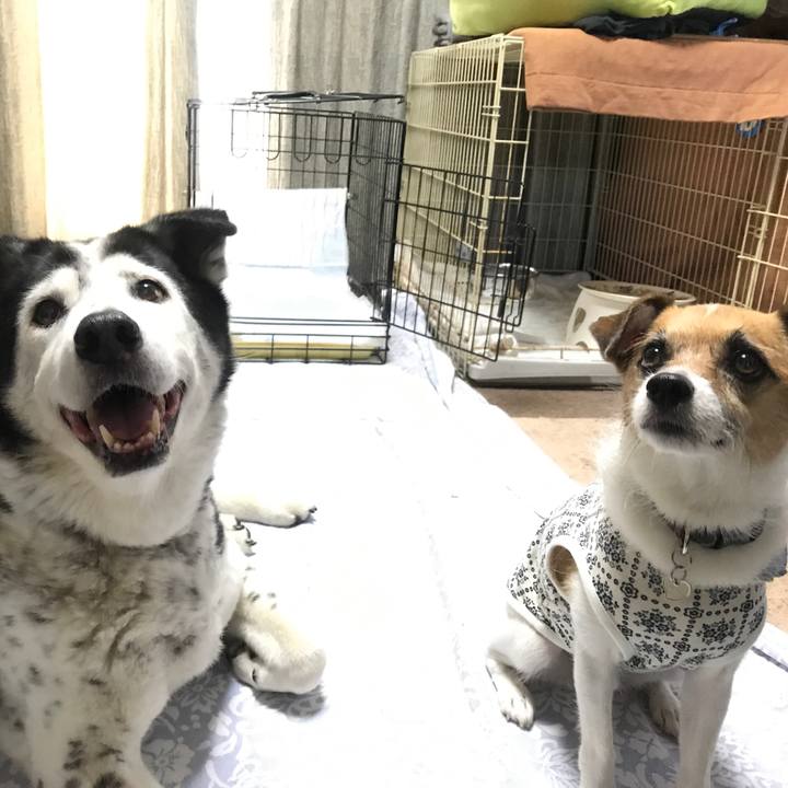 32c3d208 7662 4f8d a593 3ba40b884d56 1566550805121