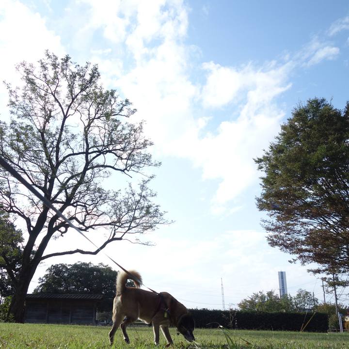 32c3d7e5 6a28 4eb7 a6c2 54eafd4972f5 1649552028497