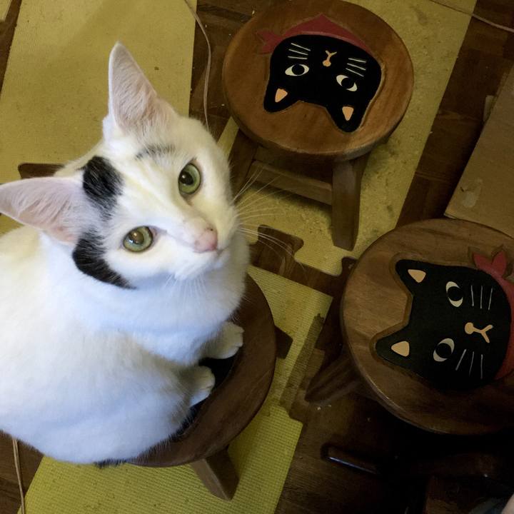 32c3ff6f ec2f 4299 89be 948bd8281286 1571211592187