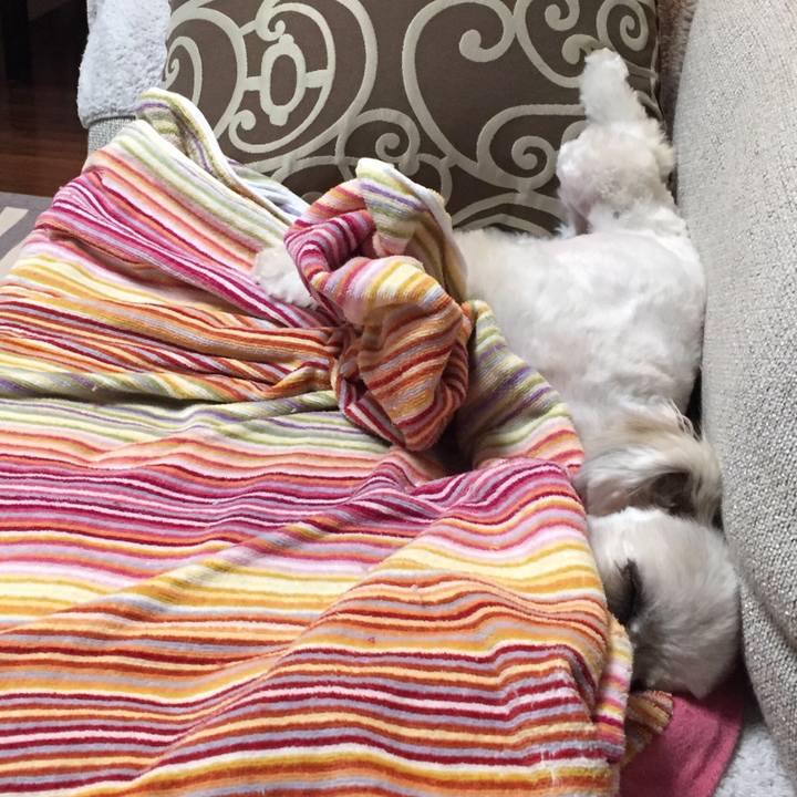 32c422d7 0c24 4c92 bd2b 23a1cf4a2bae 1516448203641