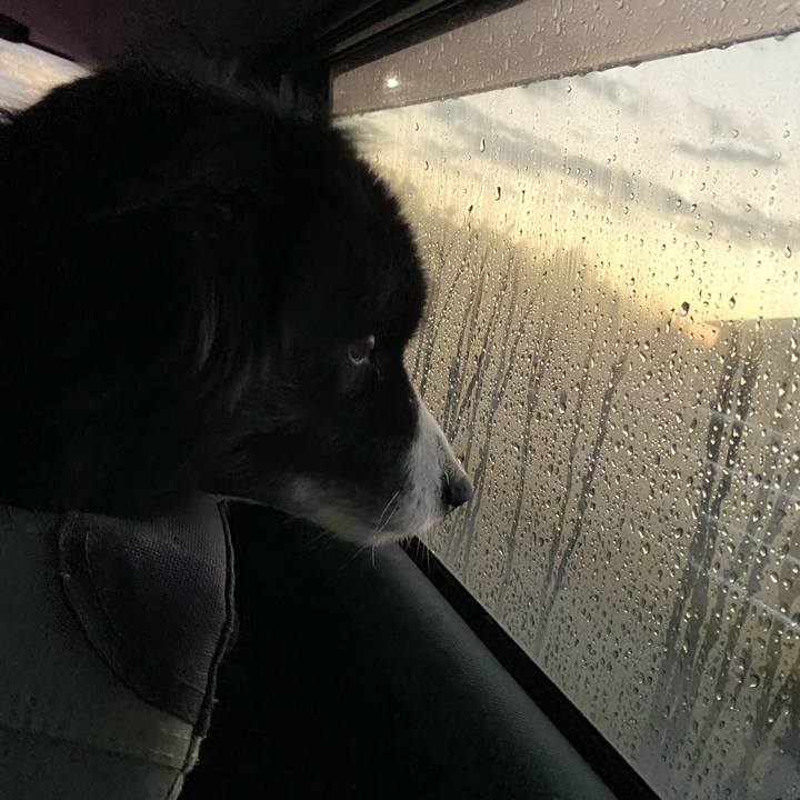 32c43894 ce2b 4fbd a57f f42f2eda3dbd 1675029693054