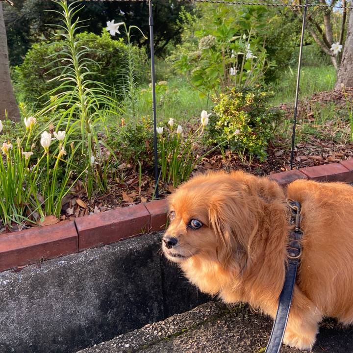 32c451a9 1623 4031 8838 2278b7438fa3 1629754794774