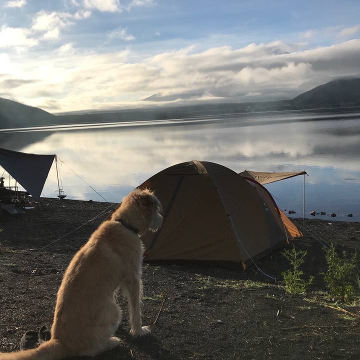 32c46023 2001 4b41 a328 8c841c89eaeb 1534196448213