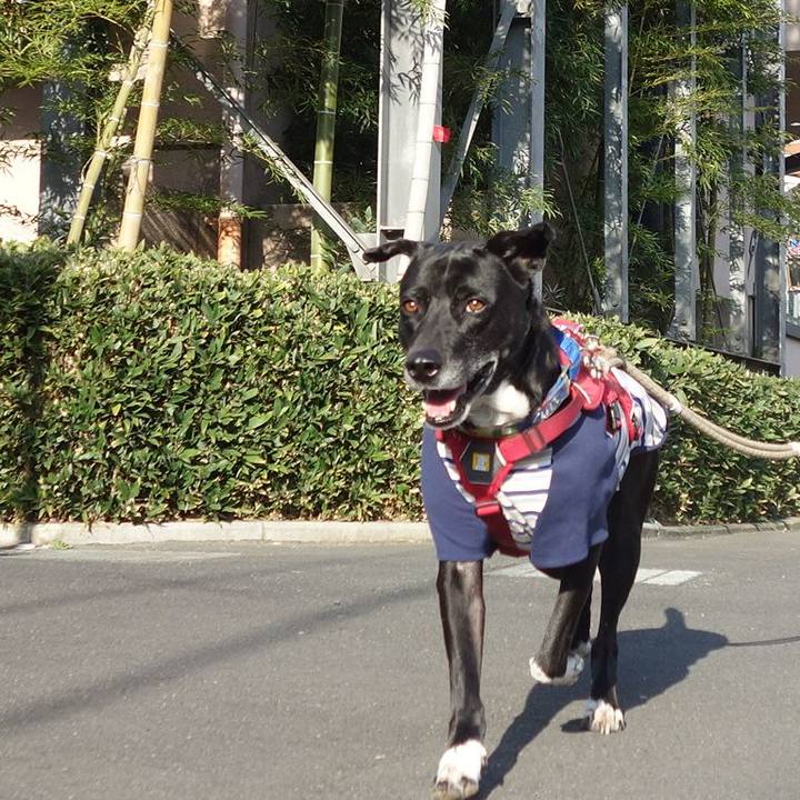 32c46024 a29b 481b 9df8 223b5e3f173d 1678151235241