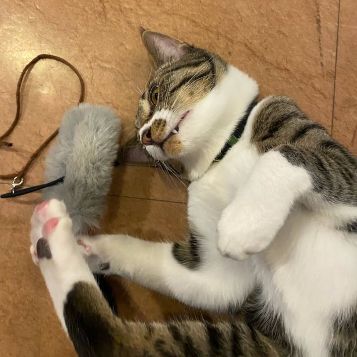 32c46b9f edfc 49db 99ce 3c3a064165e4 1637828460377