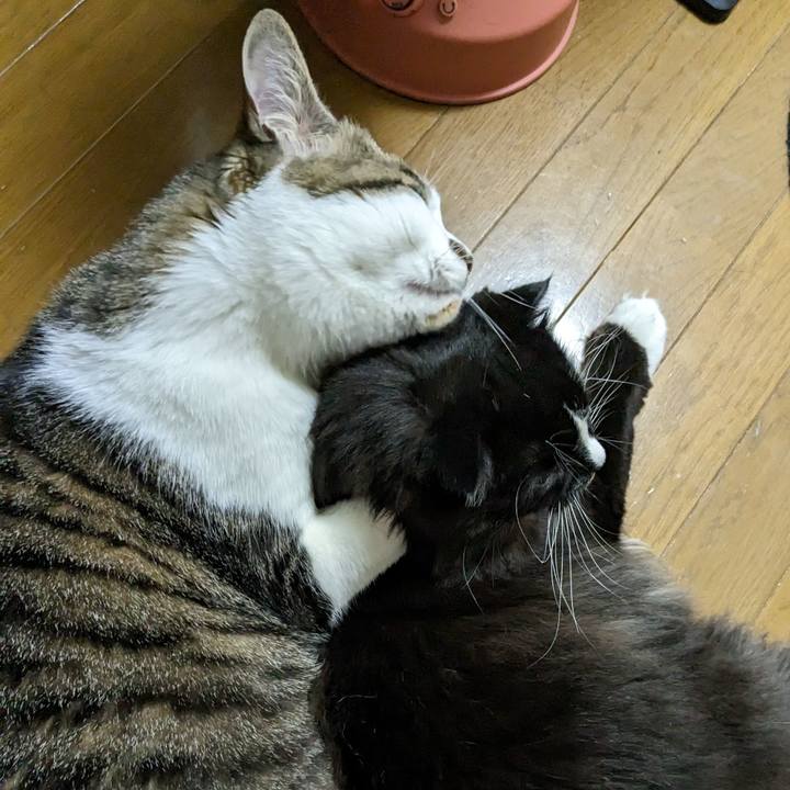 32c4a56f ab81 4068 a2c9 3265da4c3e03 1681767332662