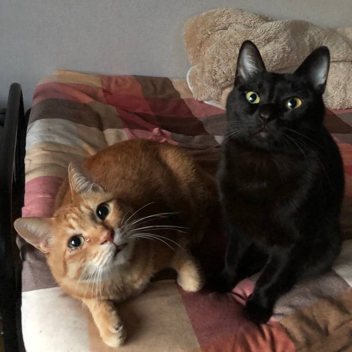 32c4f1f3 df14 46f8 8cc9 83f5ecec26f3 1668547095592