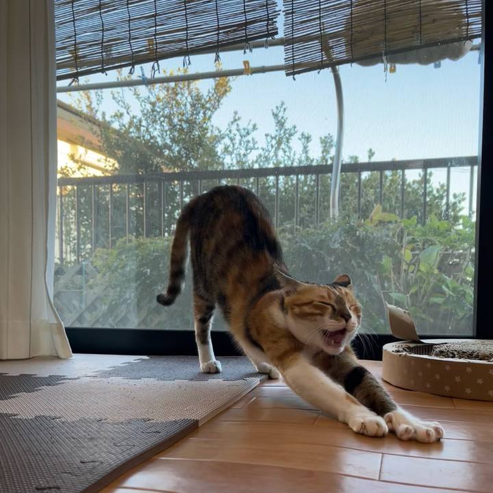 32c4f350 7dc9 4b70 bbf6 654c2044b1c4 1667119619510