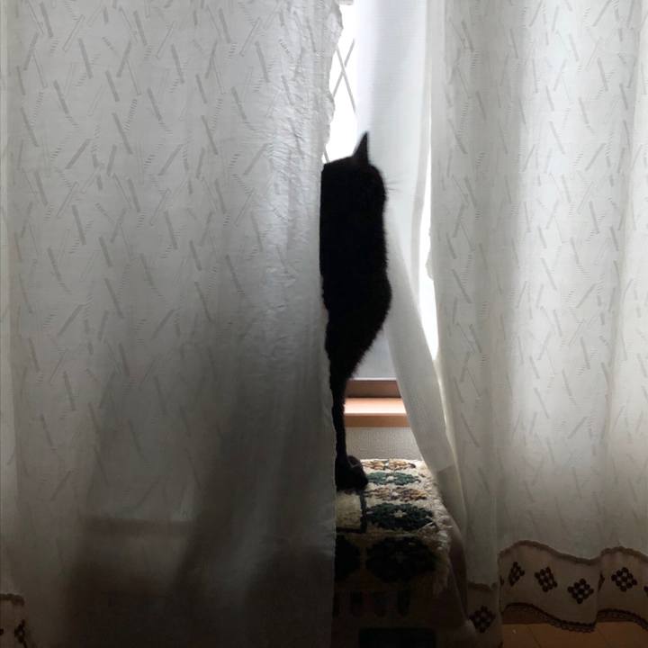 32c520d9 3841 438b 9140 640ed5d4fc66 1551735001388