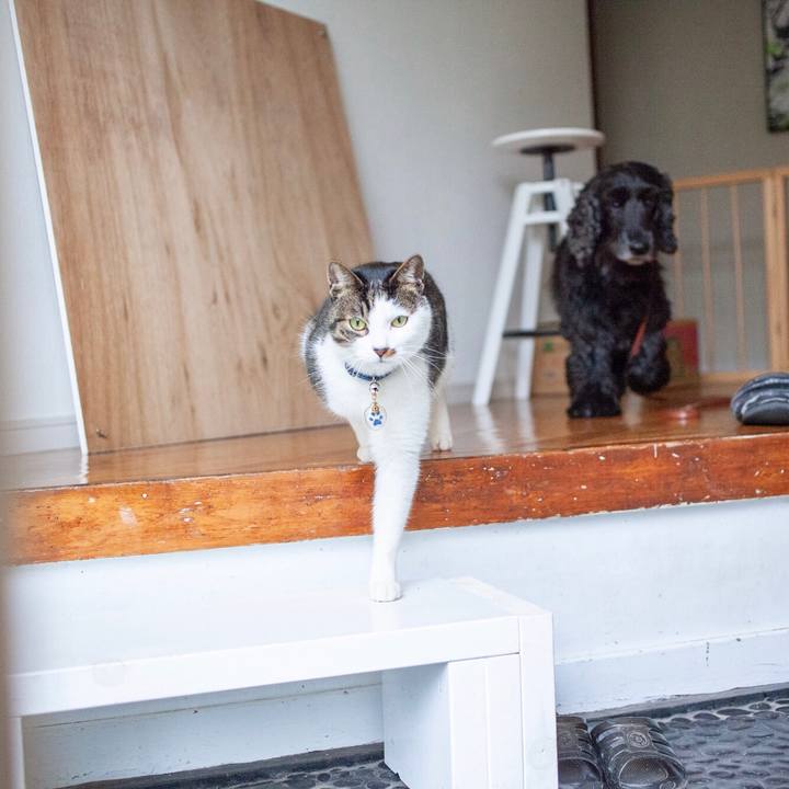 32c5276a 03e4 45fc aee4 c9a8f202d505 1582197733718