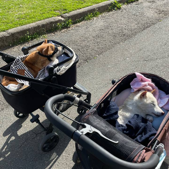 32c56f31 e017 4c73 9871 822ac95ad2d0 1679221726762