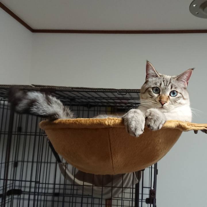 32c57c06 6206 4b8f a927 d240955aaa82 1513945439851