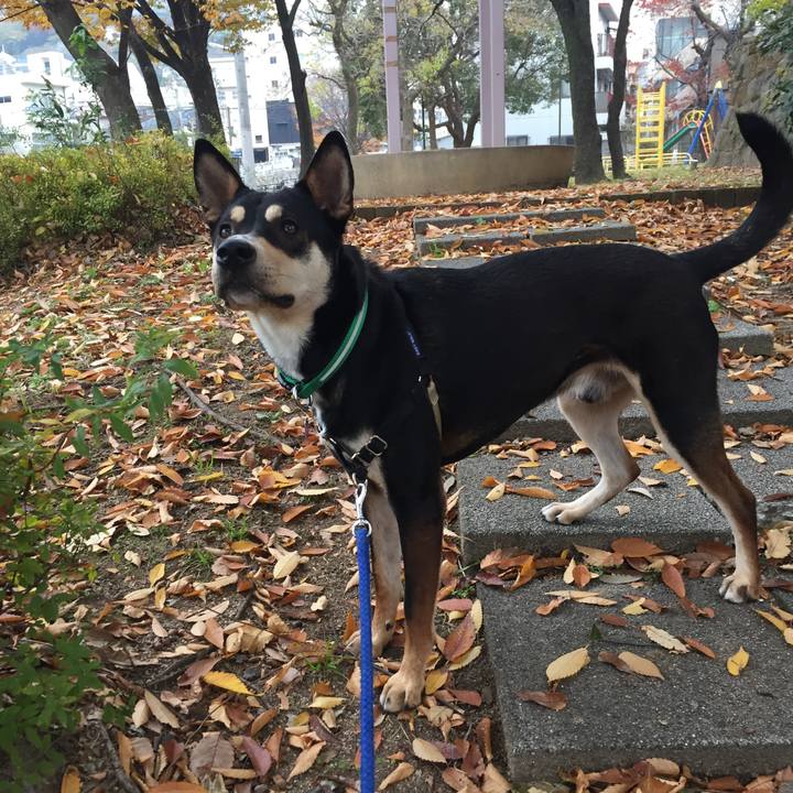 32c5975b 384f 4ae8 8ed3 a3e9fe19948e 1511928407597