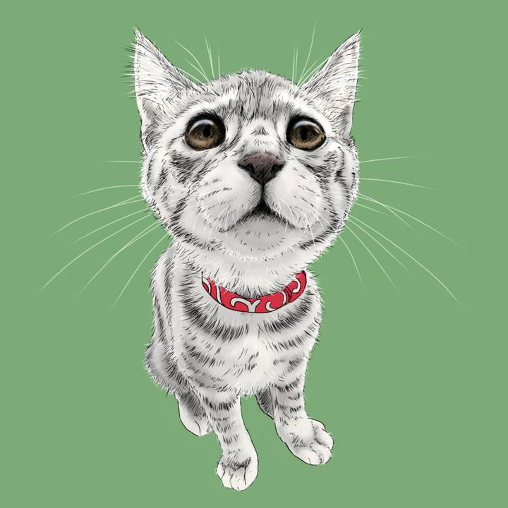 32c5b9df c98a 49e8 988f 87515cd74083 1579873237944