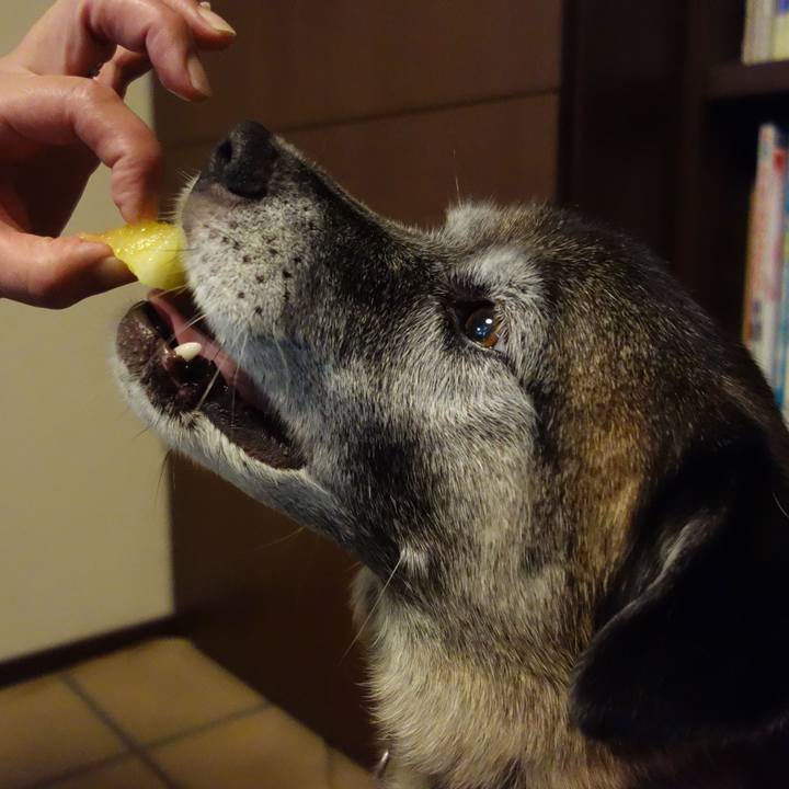 32c5bcb3 fdc7 4cd0 8f6a 0d61950c6501 1533371132506