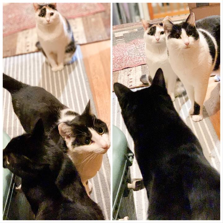 32c5c264 60e3 42cd 8f69 16e52ed324b1 1547775955500