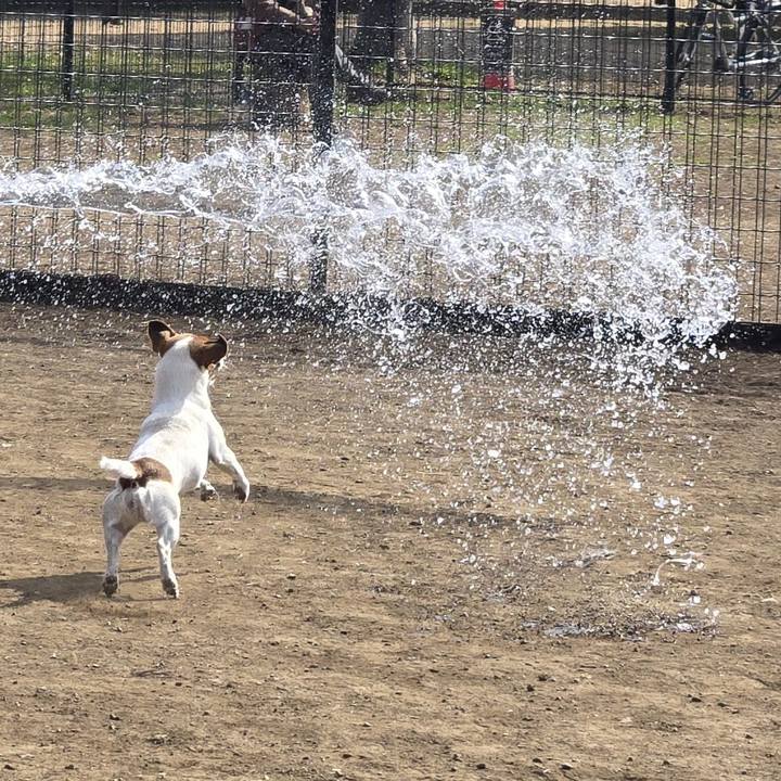 32c5c9d1 3bae 46e1 908d 4862c5bc5a49 1771045273016