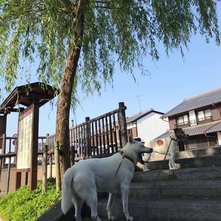 32c6036c 6233 4da1 98c6 7b3193049666 1527375103521