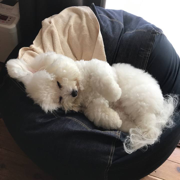 32c61019 f32e 4b29 a14f e2d313b7dced 1529988669571