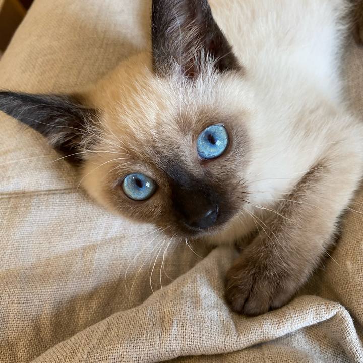 32c613d9 6a17 466e b9bc b172b7d6ede6 1687607550317