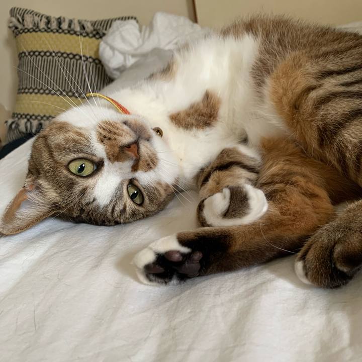 32c62b0b bf8a 4660 b9b2 23e0098e92a7 1653787646871