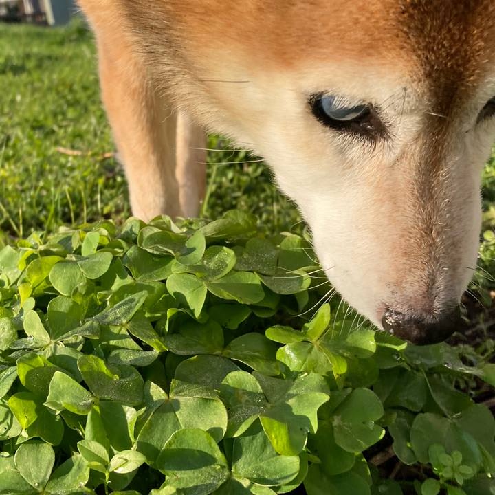 32c6438a 1da8 4692 ba08 ce28ec1c2005 1732579415342