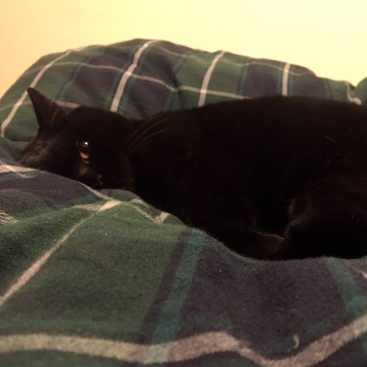 32c6b2f8 c1b7 4e38 9f71 75ed412b3f2e 1578229193184