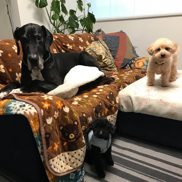 32c6c5e2 589f 4a94 9e4f 13f9b7d2baf7 1520549940152