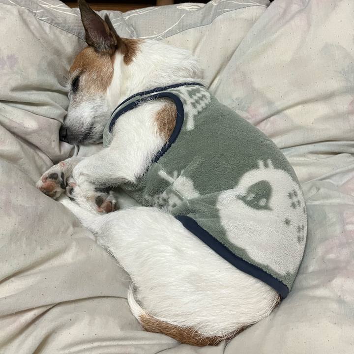 32c7043c e695 4a22 bf7a fceebb738795 1679710454365