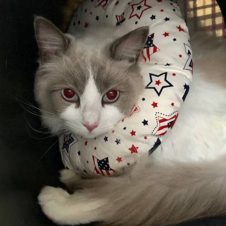 32c713b3 11d7 4216 ba87 701f459a4c4c 1605937685993