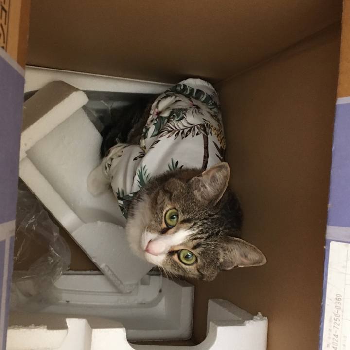 32c74ef7 891f 4b68 ae3a 3f0519a5f1b7 1694409235107