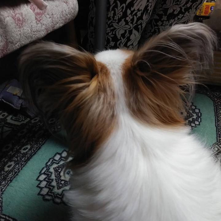 32c7a6f1 2e3d 4fd2 97fc 7539316660be 1556365630466