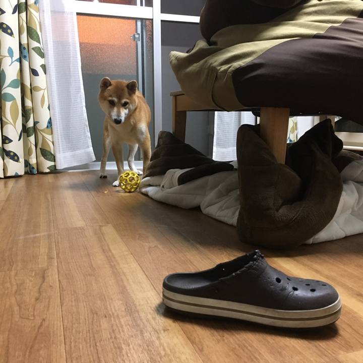 32c7bf76 47f5 4dd6 978c 830d3d2818cf 1509113379589