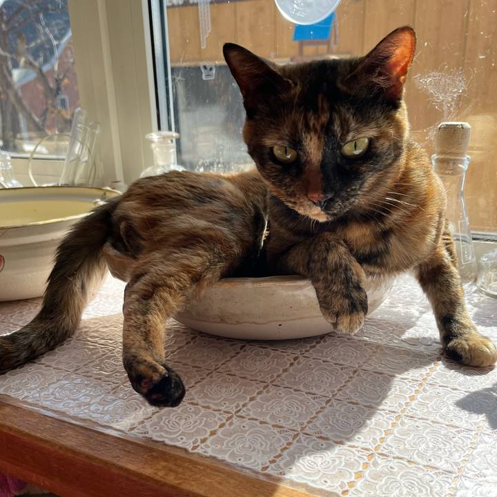 32c7ea75 2120 43a3 a611 a85cda8fd5b8 1743247224385