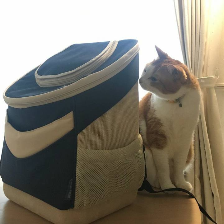 32c80063 0ada 4536 8d3c 595633a81d68 1578358074866