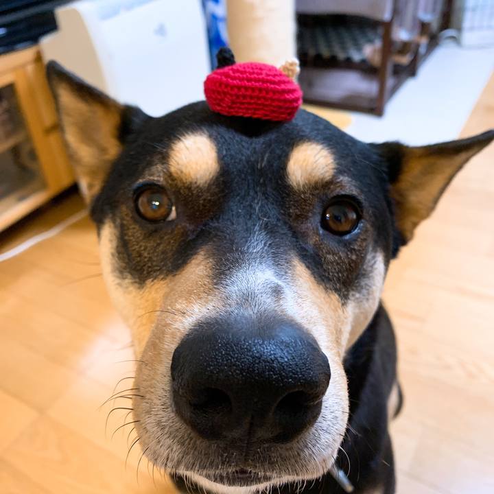 32c8a334 6366 4b93 9dac 0d71ece991dd 1553244074864