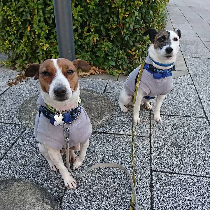 32c8b394 4ff1 43fa b3e0 2c332f002028 1578611203840