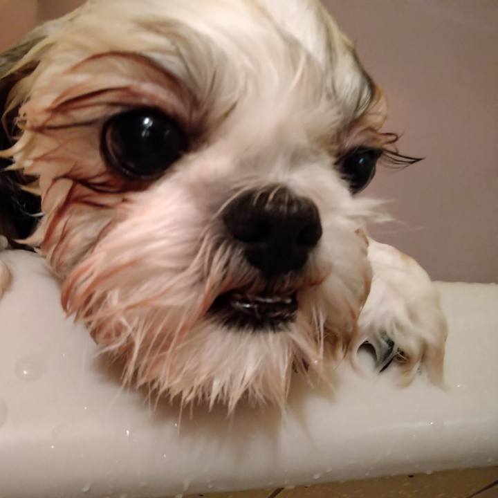 32c8b9b4 f8c1 4741 9ca3 3ae75cde6f2a 1611479179510