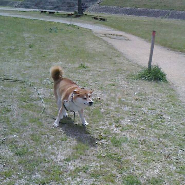 32c8ca95 b9c0 4f5d 8e13 a0a0966f5930 1554960821447