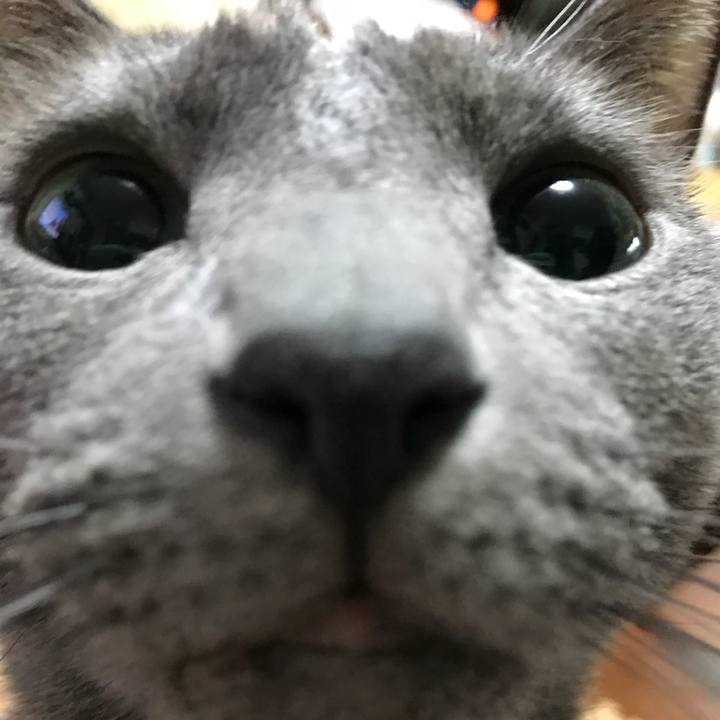 32c90177 b118 4944 b766 69869e025fef 1512773864444