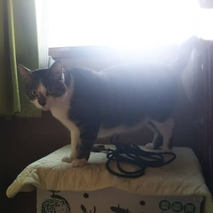 32c919f6 a3c9 4a93 bcdb 62c154c8ffe1 1612276598234